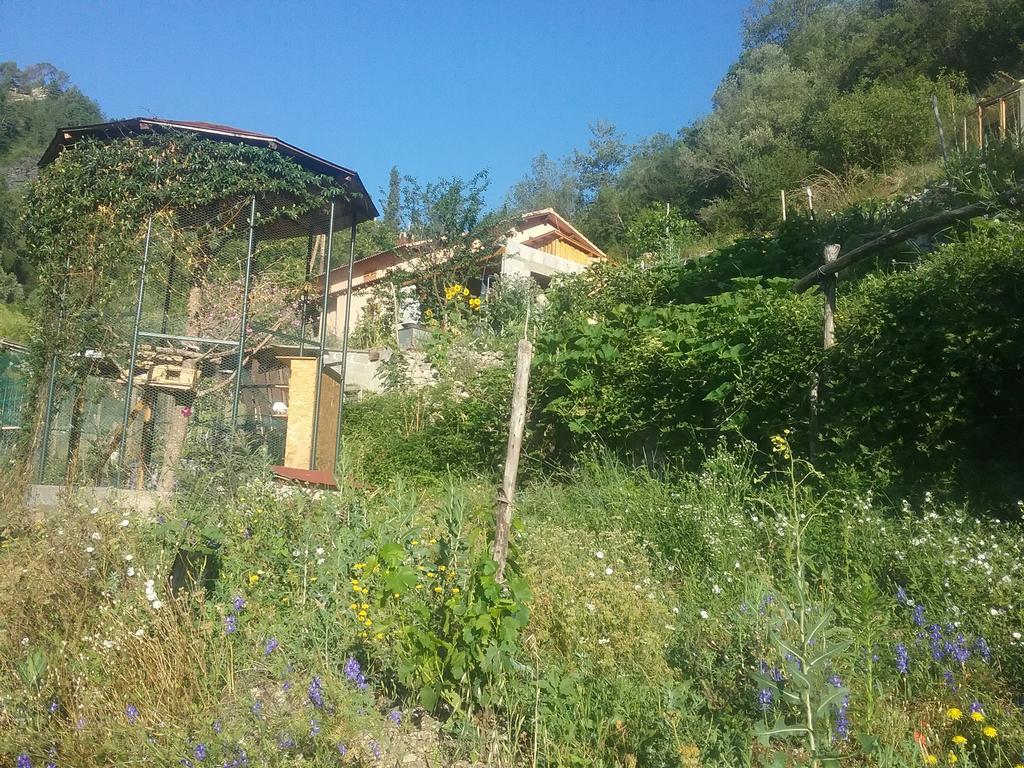 Appartamento Gallinette Rigaud Esterno foto